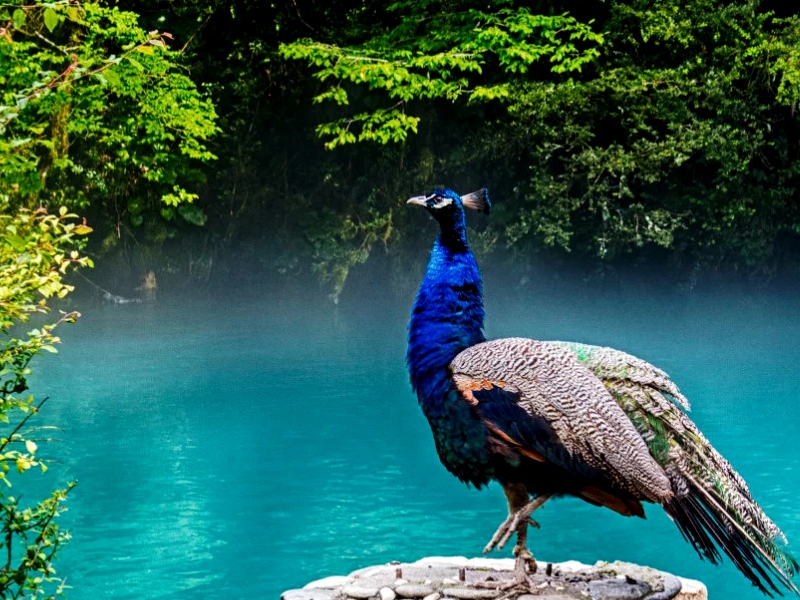 голубое озеро Абхазия